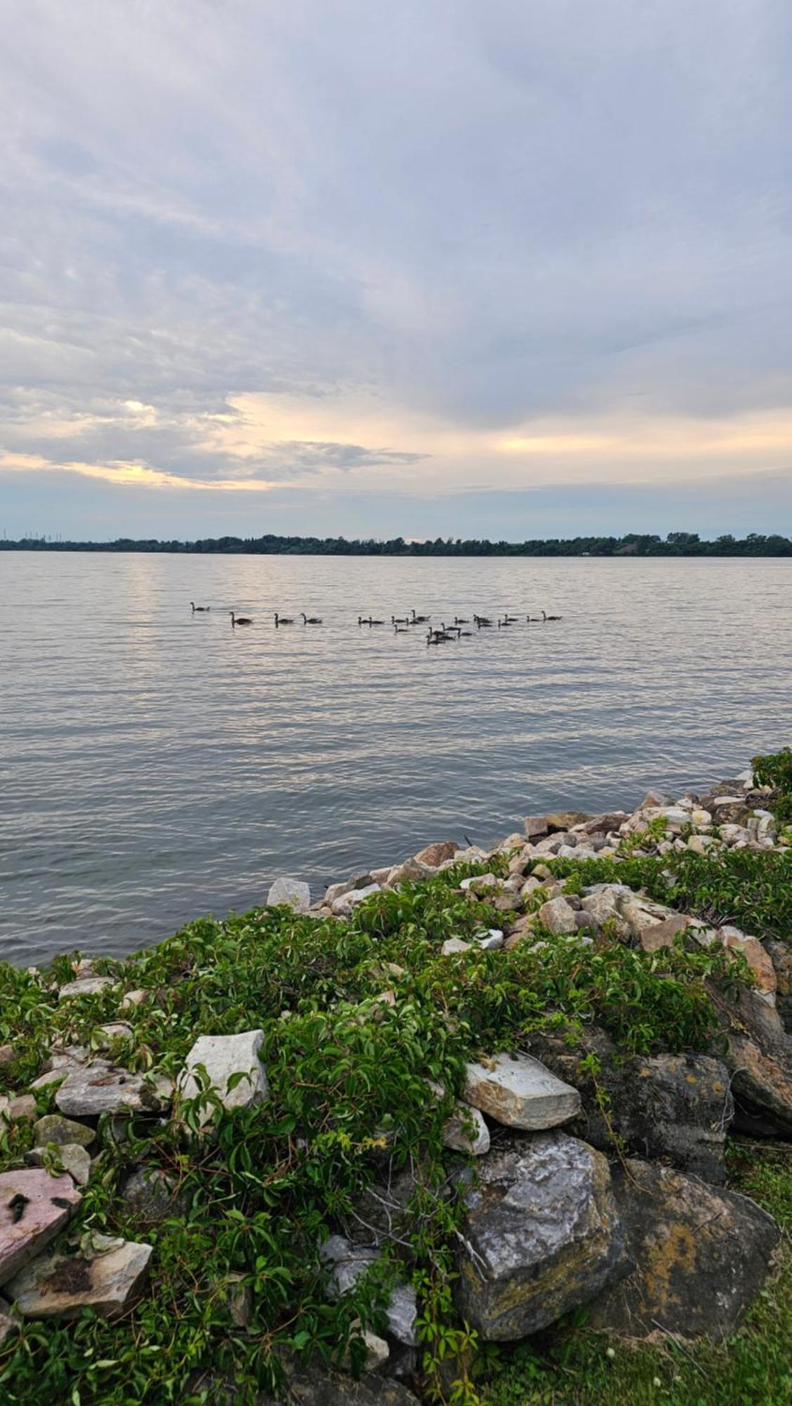 Hotel Oasis Lac St-Louis Salaberry-de-Valleyfield Eksteriør bilde