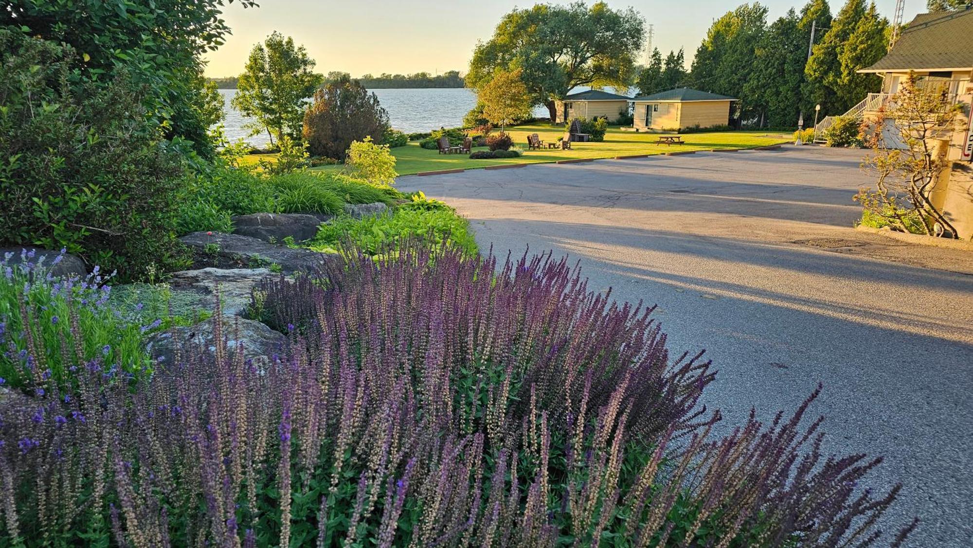 Hotel Oasis Lac St-Louis Salaberry-de-Valleyfield Eksteriør bilde