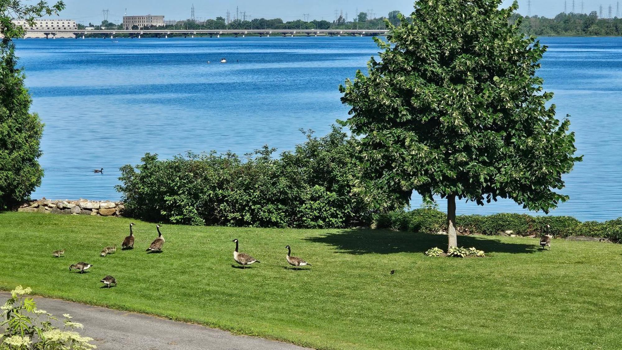 Hotel Oasis Lac St-Louis Salaberry-de-Valleyfield Eksteriør bilde