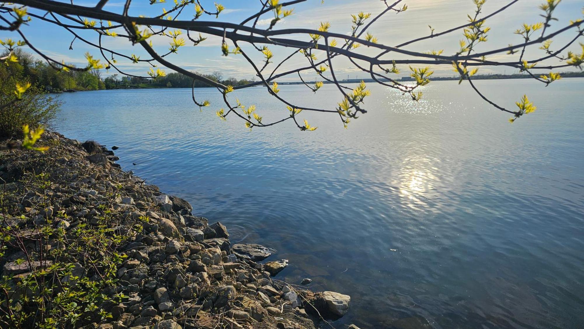 Hotel Oasis Lac St-Louis Salaberry-de-Valleyfield Eksteriør bilde